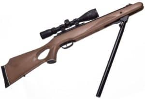 Can an Air Rifle Be Effectively Used for Home Defense?