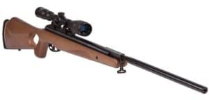 What Are Air Rifles Used For